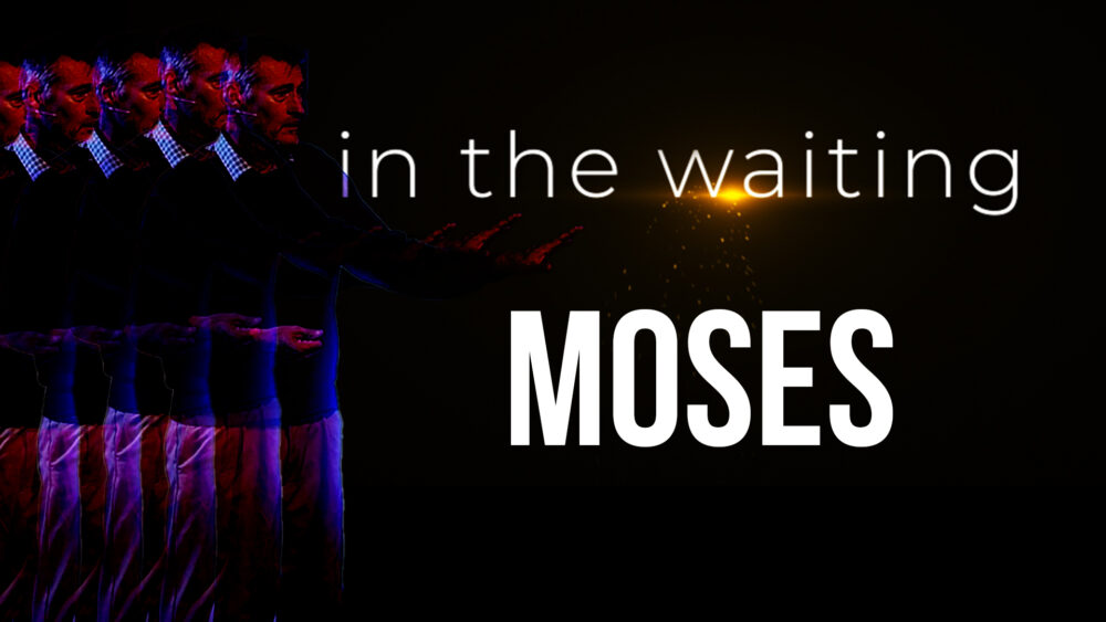 Moses Image