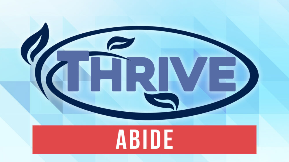 Thrive: Abide Image