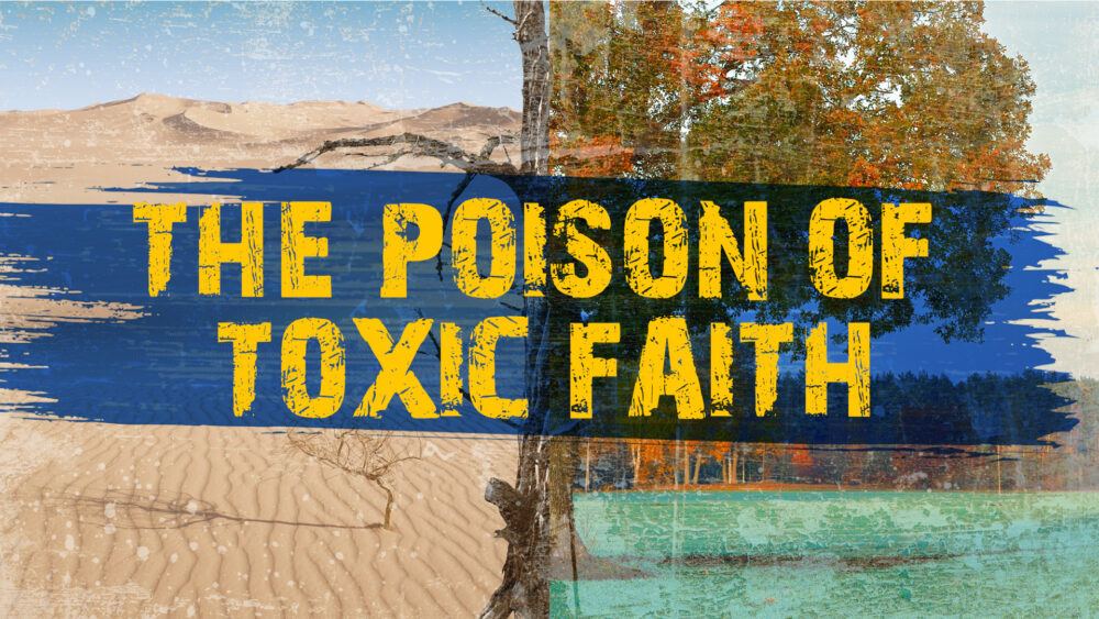 The Poison of Toxic Faith (Matthew 12:1-14) Image