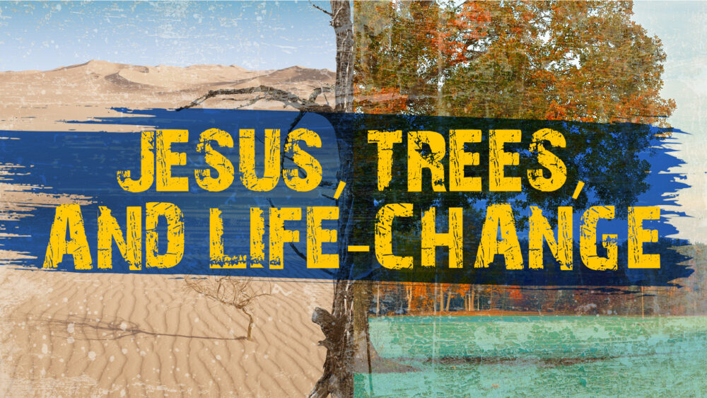 Jesus, Trees, and Life-Change (Matthew 12:33-42) Image